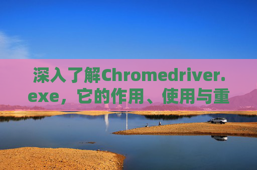 深入了解Chromedriver.exe，它的作用、使用与重要性